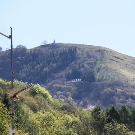 Faggeto Lario B&B Le Magnolie المظهر الخارجي الصورة