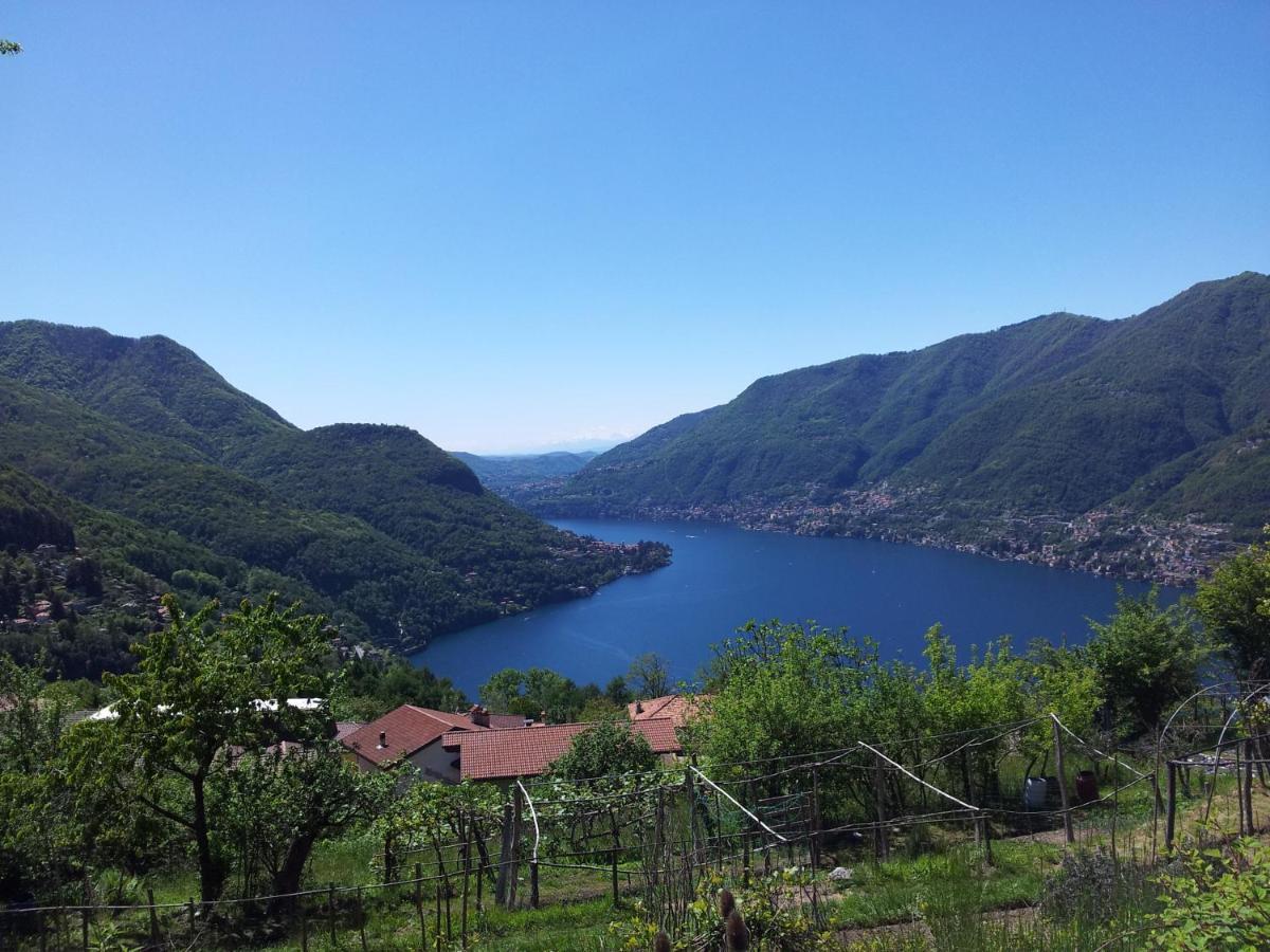 Faggeto Lario B&B Le Magnolie المظهر الخارجي الصورة