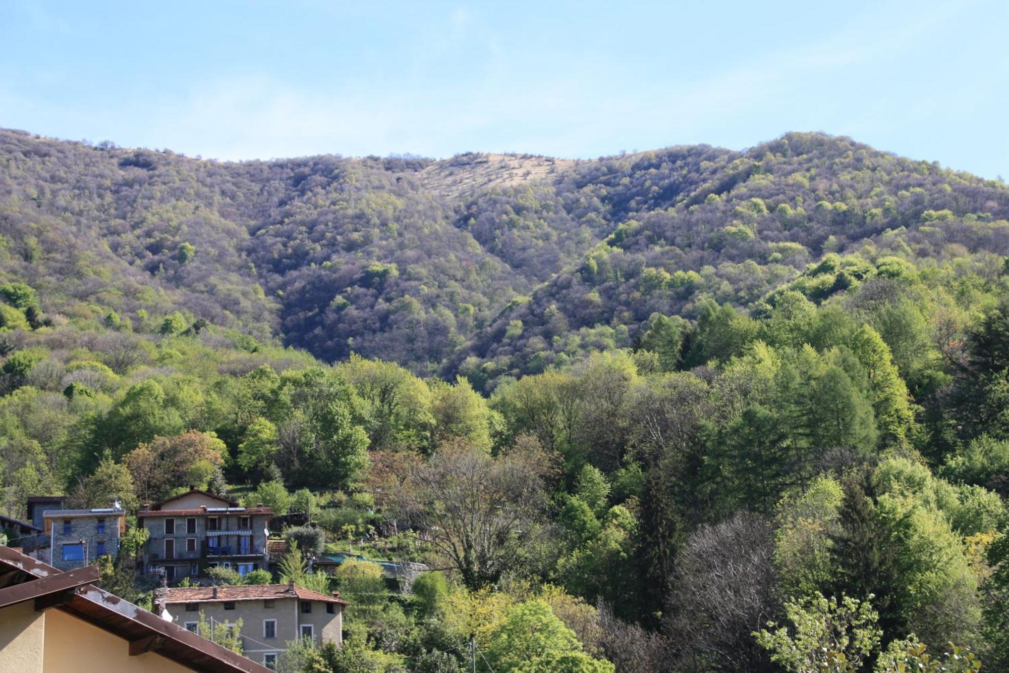 Faggeto Lario B&B Le Magnolie المظهر الخارجي الصورة