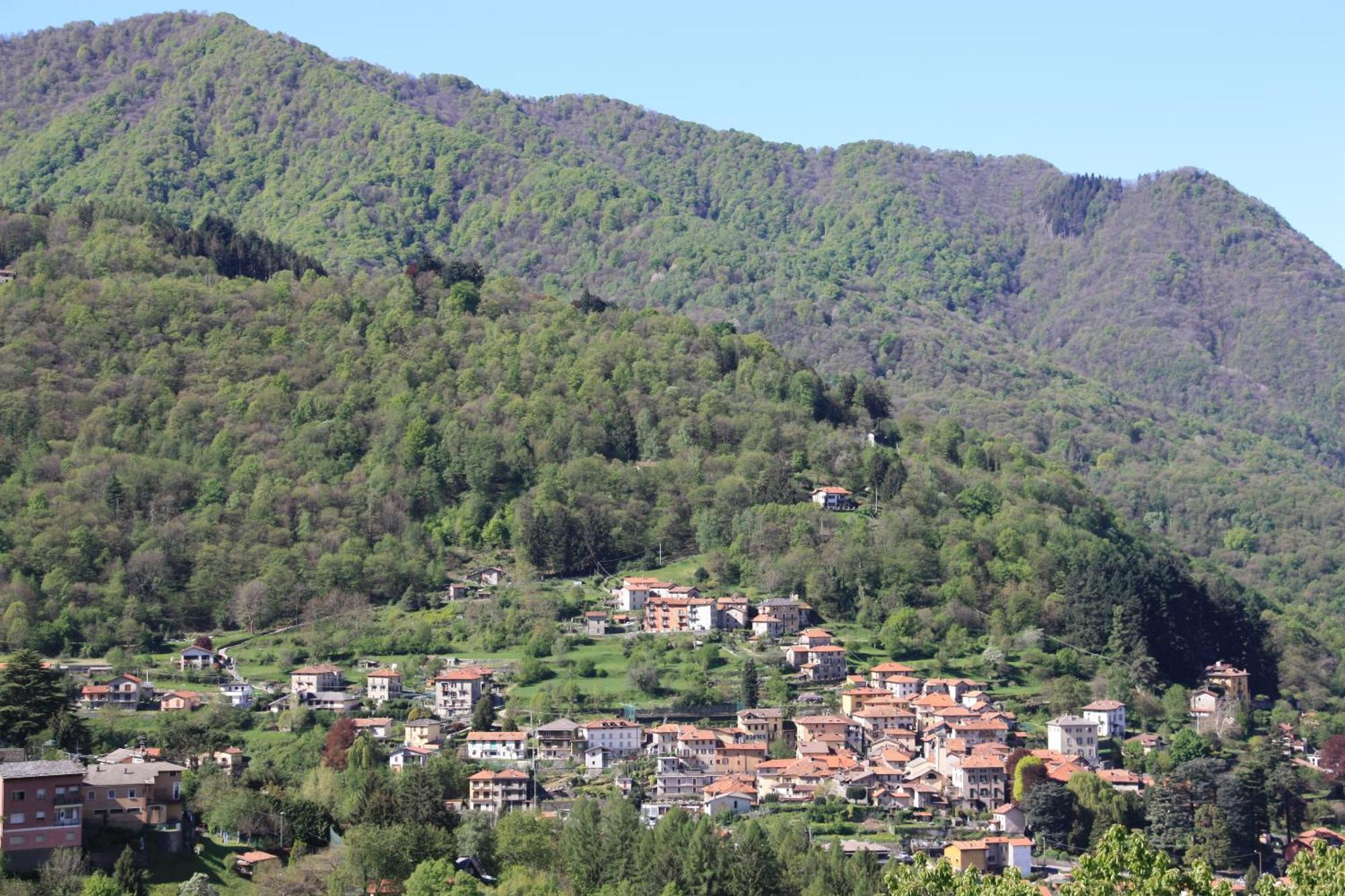Faggeto Lario B&B Le Magnolie المظهر الخارجي الصورة
